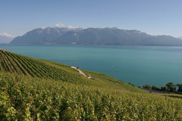 Lavaux - 002